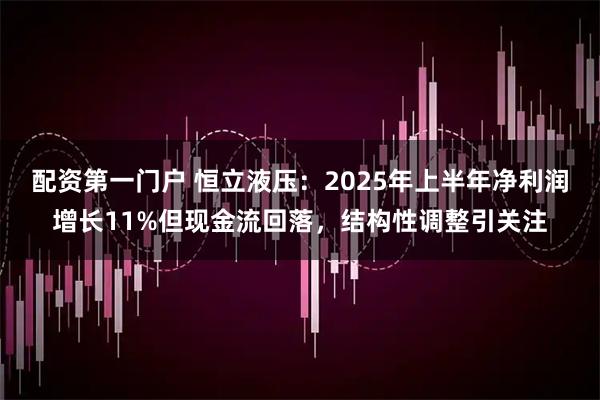 配资第一门户 恒立液压：2025年上半年净利润增长11%但现金流回落，结构性调整引关注