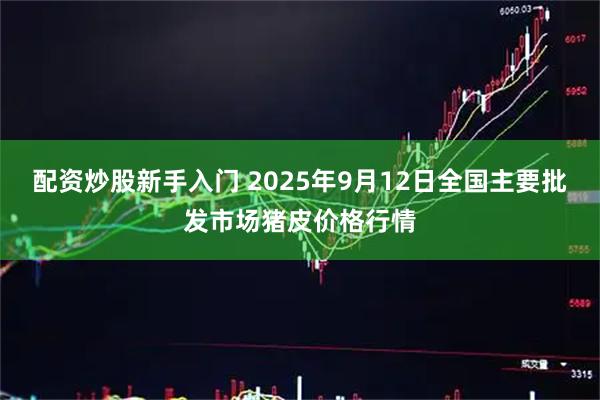 配资炒股新手入门 2025年9月12日全国主要批发市场猪皮价格行情