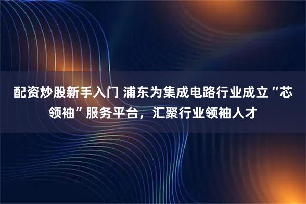 配资炒股新手入门 浦东为集成电路行业成立“芯领袖”服务平台，汇聚行业领袖人才