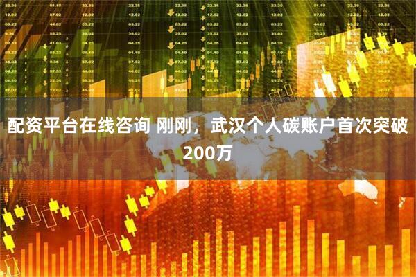 配资平台在线咨询 刚刚，武汉个人碳账户首次突破200万